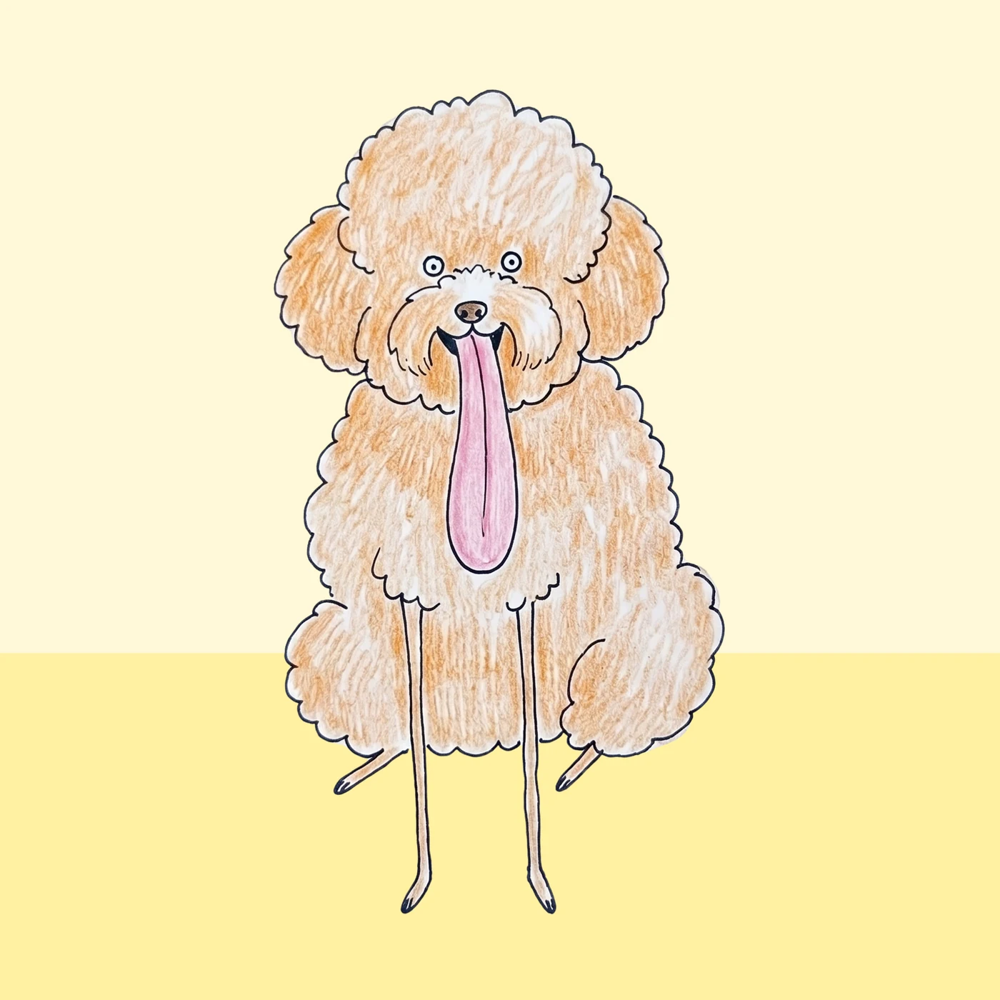 Funny-style illustrated poodle wallpaper